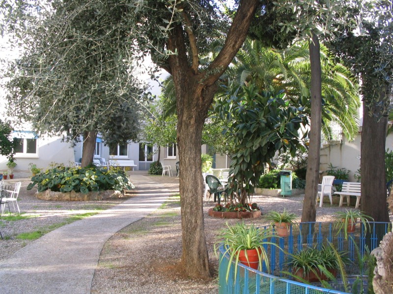 jardin.jpg